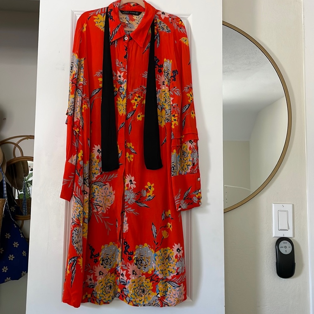 Zara dress